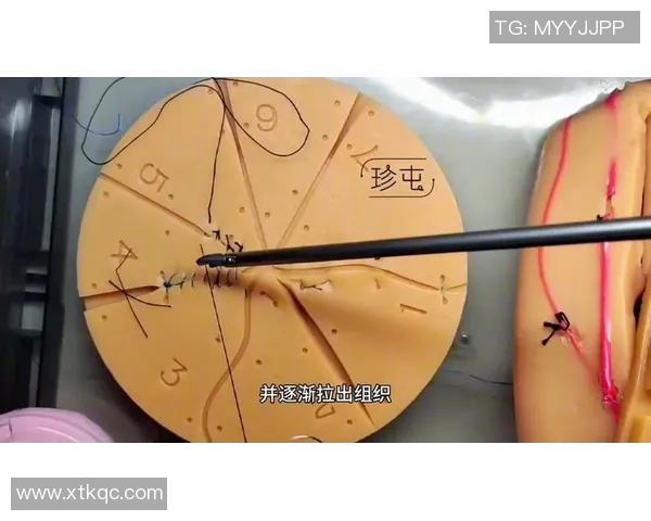 重庆排球队战术分析与提升策略探讨助力球队更上一层楼